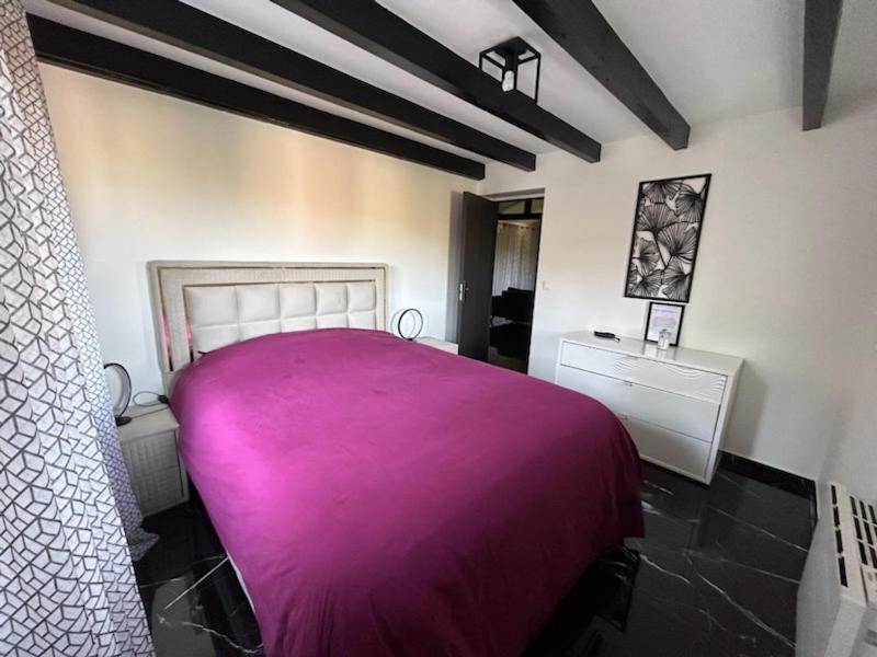 Sinalospa - Culiacan - Appartement Jardin Jacuzzi Sauna A 5 Minutes De Nancy Place Stanislas Champigneulles Dış mekan fotoğraf