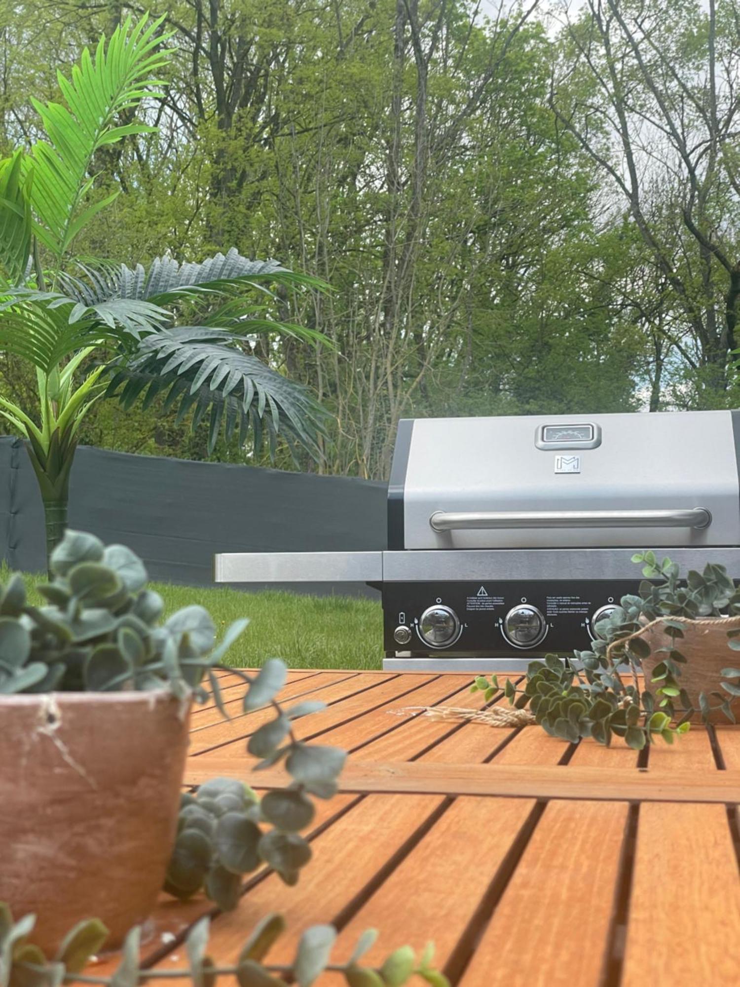 Sinalospa - Culiacan - Appartement Jardin Jacuzzi Sauna A 5 Minutes De Nancy Place Stanislas Champigneulles Dış mekan fotoğraf